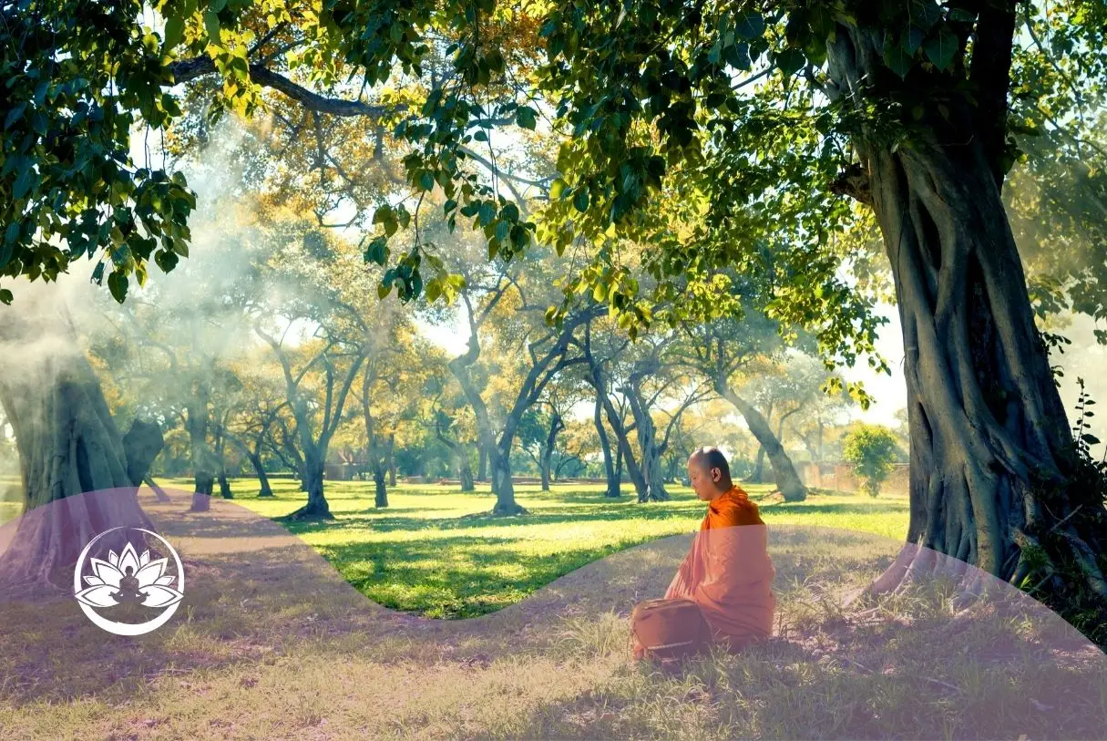 monaco meditare sotto un albero