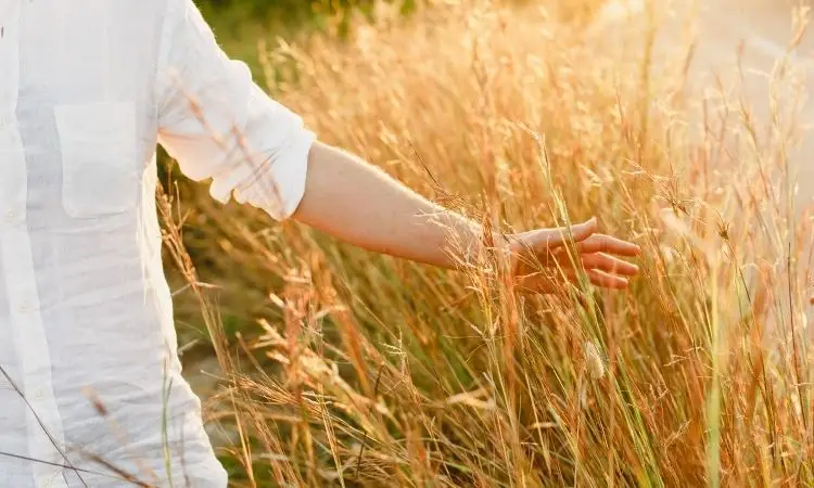 donna vestita di bianco cammina in un campo di grano