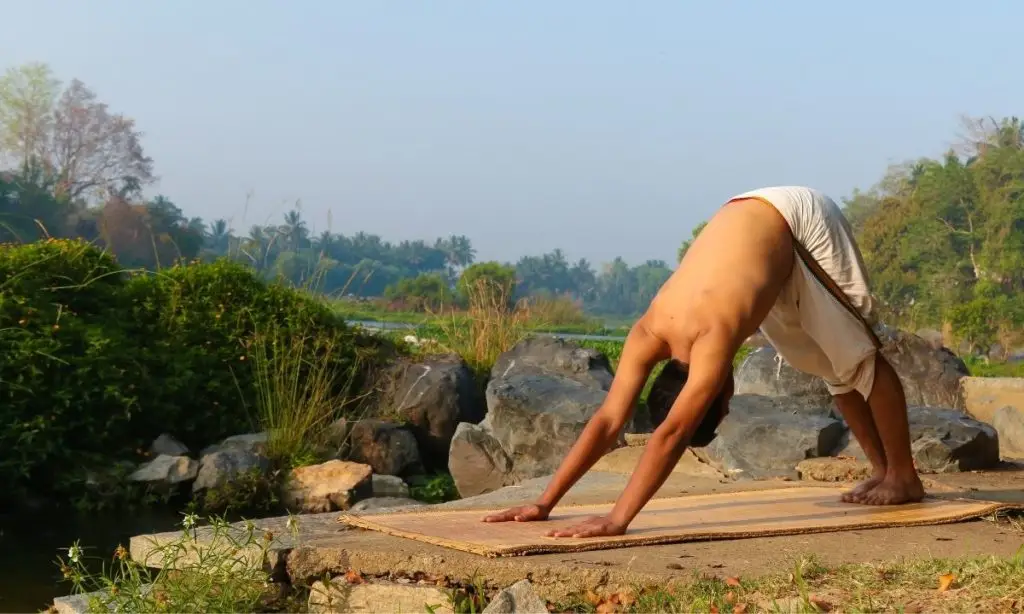 asana yoga india